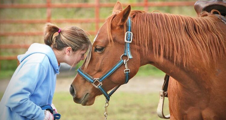 Girl and horse